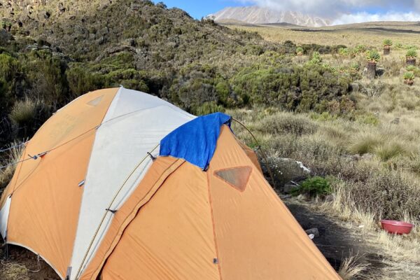 Climb Kilimanjaro camp tents