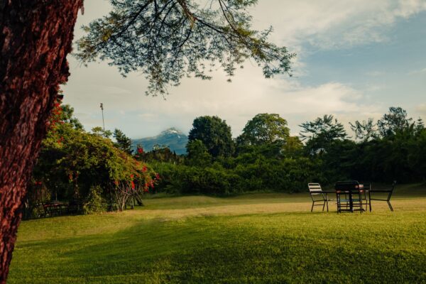 Marangu Hotel Climb Kilimanjaro (1) Marangu_Hotel_Garden
