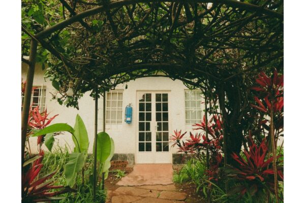 Marangu Hotel Climb Kilimanjaro Marangu_Hotel_Garden