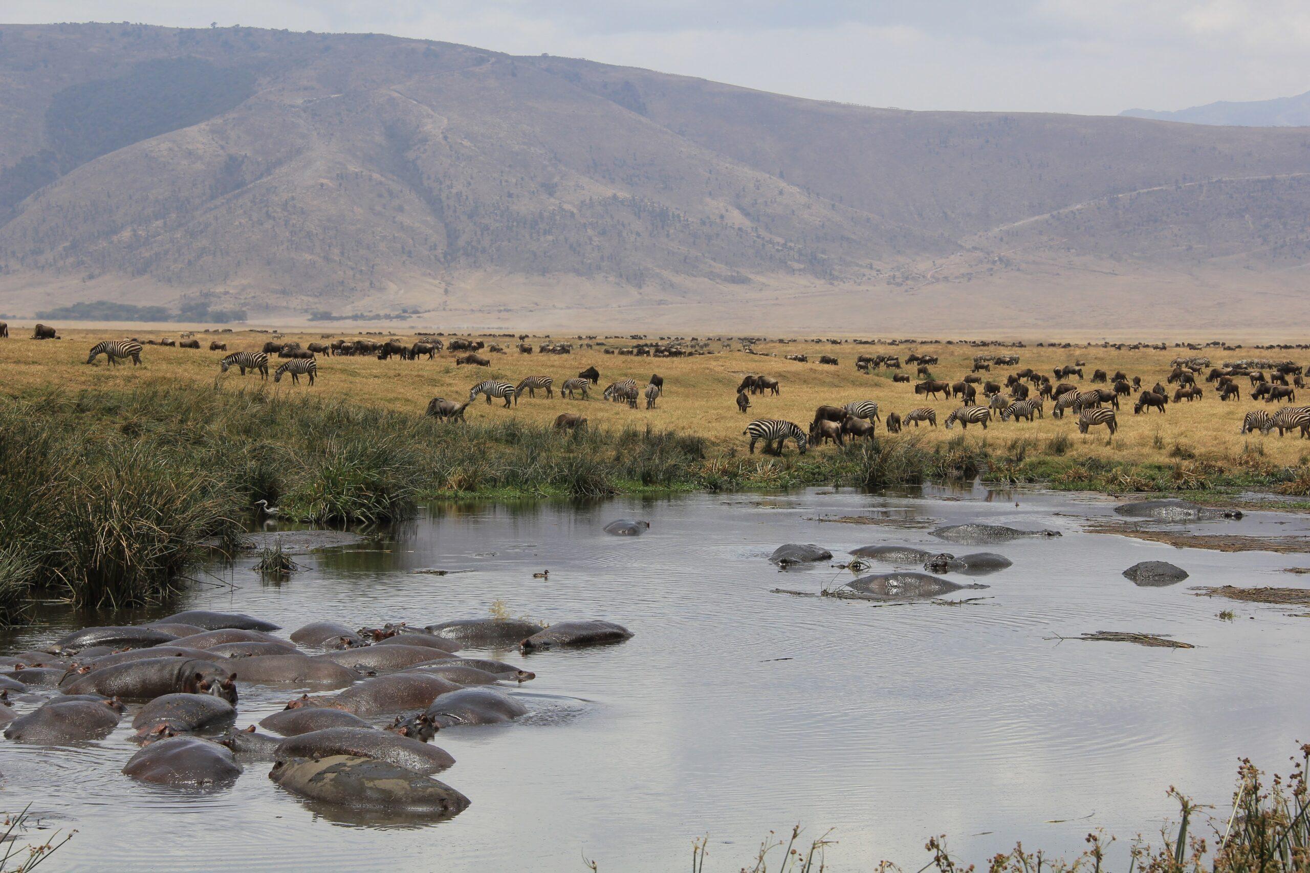 Ngorogoro Crater Tanzania Safari