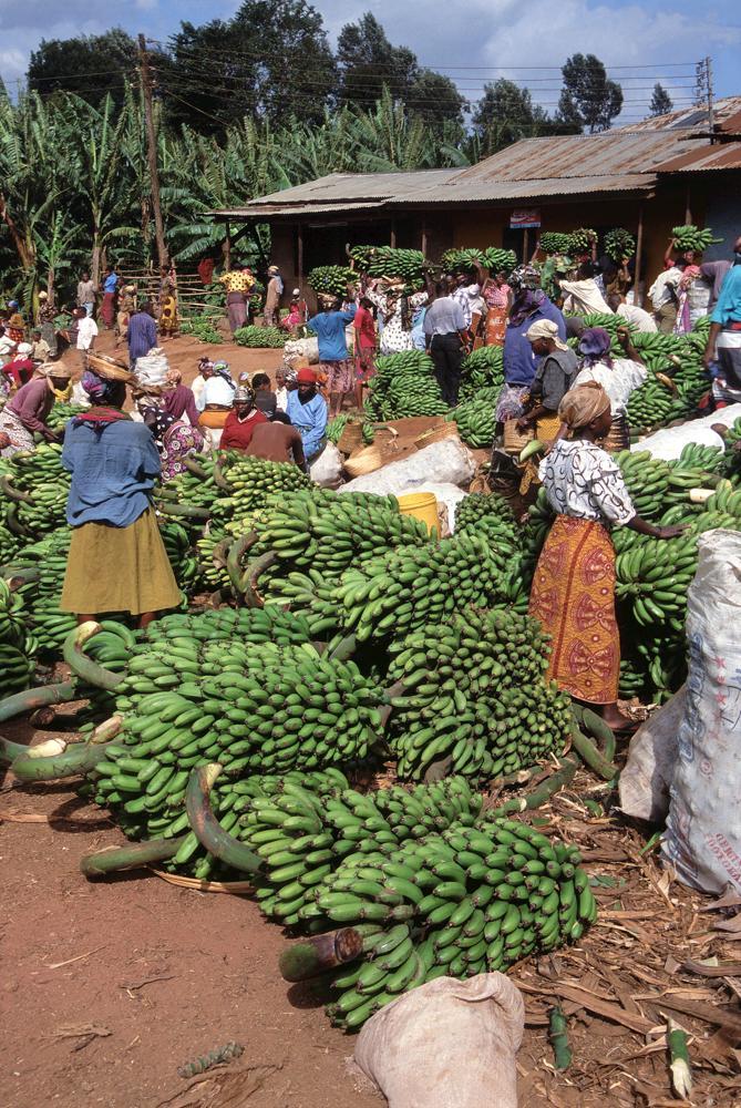 Tanzania Banana Market